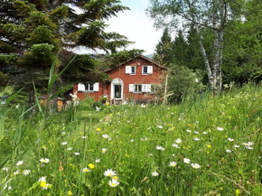 Chalet Chic Wildhaus